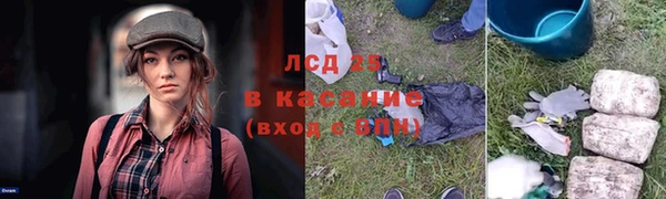 бошки Алексин