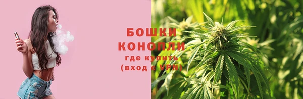 бошки Алексин