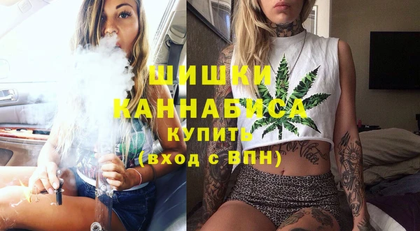 бошки Алексин