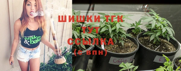 гидропоника Алзамай